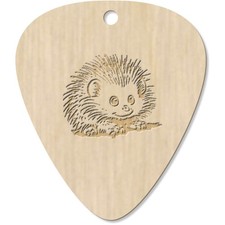 7 x 'African Pygmy Hedgehog'