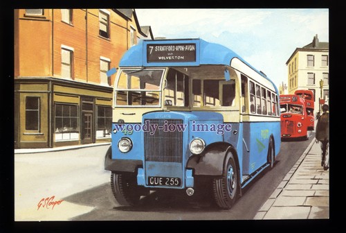 Tm6636 stratford blue - tm6636,