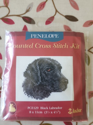 Penelope counted cross stitch - penelope,