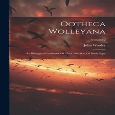 Ootheca Wolleyana An