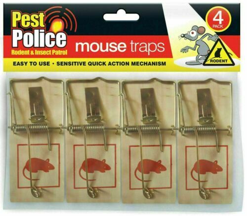 Traditional mouse traps - mouse,