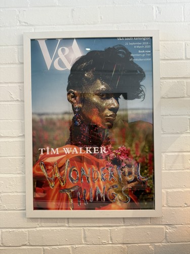 Tim walker wonderful things - tim,