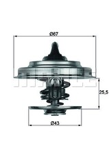 New Thermostat, coolant for