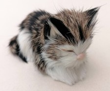 Vintage Sleeping Tabby Cat