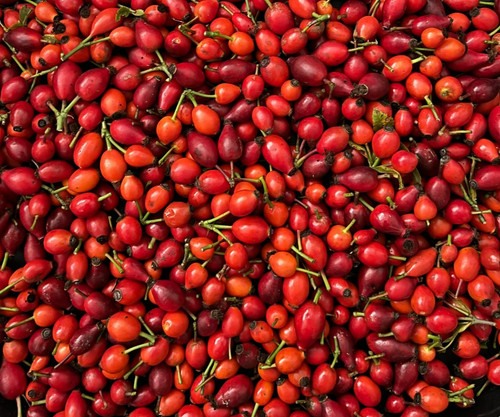 1kg fresh wild - 1kg, rosehips