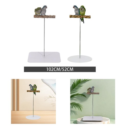 Bird perch stand play - bird,