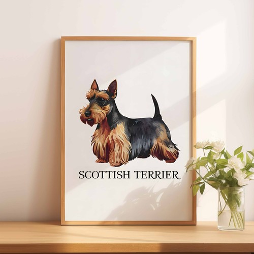 Scottish terrier - a5,