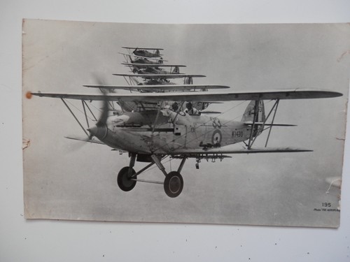 Large original photo hawker - large,