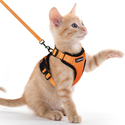 Rabbitgoo cat harness and lead - rabbitgoo,