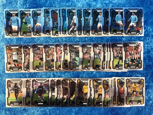 Panini prizm premier - prizm,