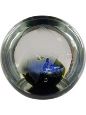 Caithness Glass Limited Edition 351/1500 'Veiltail' Handmade Paperweight
