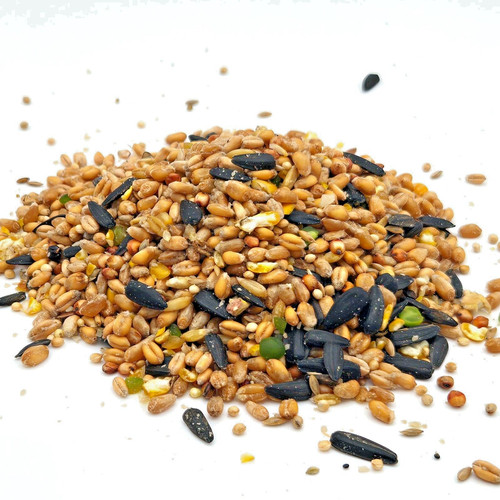 20kg love your pet - pet, garden
