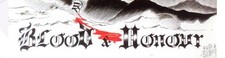SDRIVER - Blood & Honour CD