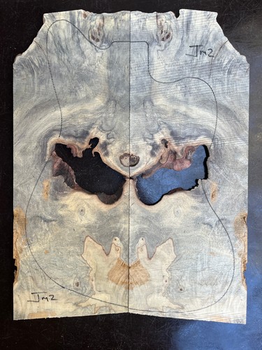 Buckeye burl bookmatched - burl,