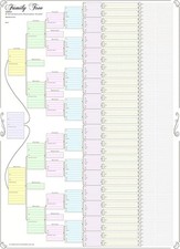 Family Tree Chart; Compact 8 Generation Pedigree Chart 120G Paper (Coloured, Fol