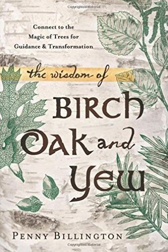 The wisdom birch oak - the, oak,