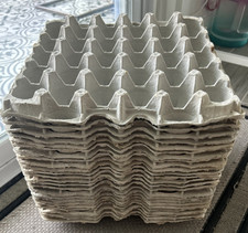 Egg cardboard - egg,