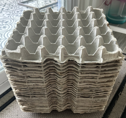 Egg cardboard - 30,
