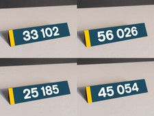 Custom Train Model Railway