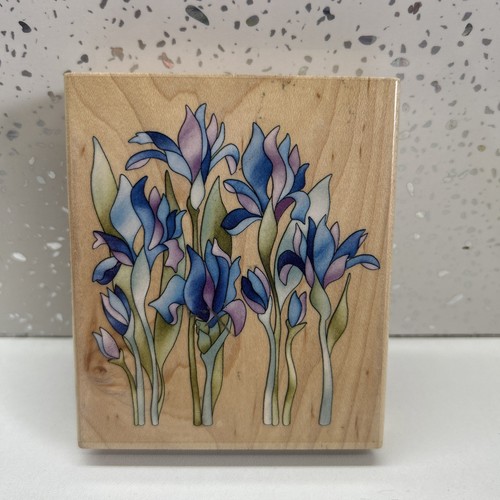 Challis roos inkadinkado - roos,