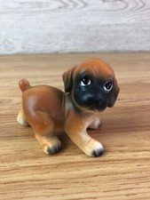 Vaga International Puppy Boxer