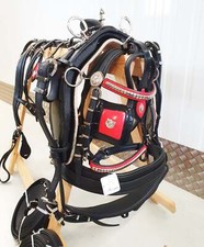 Tie Down Trade Breaching Harness set Black and Red Trade Harness Pony size
