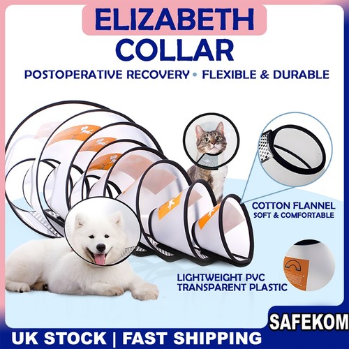 Pet dog cat - dog, anti-lick