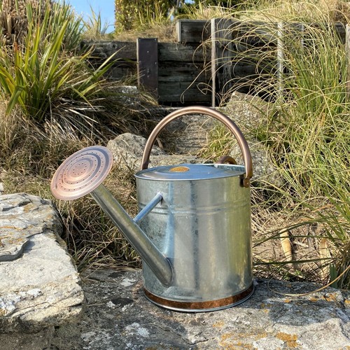 Watering can galvanised indoor - watering,