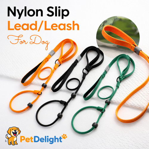 Dog leash nylon slip lead - dog,