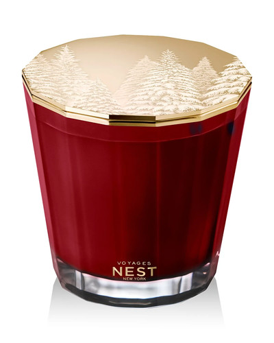 Nest new york voyages - voyages, winter