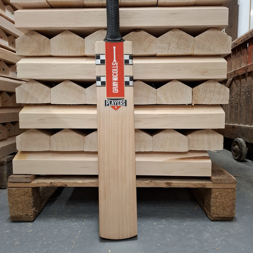 Gray nicolls cricket - gray-nicolls, bat