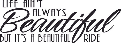 Life ain t always - 5.5",