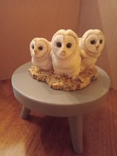 Border Fine Arts, Trio of Owls