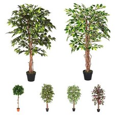Artificial ficus tree and - artificial, 4