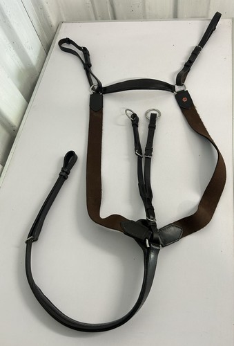 Albion point breastplate - albion, cob