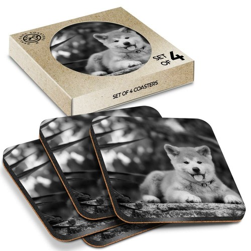 Boxed square coasters - x,