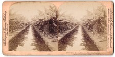 Stereo Photograph Strohmeyer &