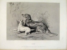 Original Old Antique Print