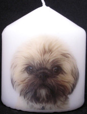 Candle Picture Shi Tzu Dog #2