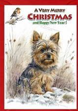 Yorkshire Terrier / Yorkie Dog