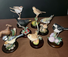 Country Artist Birds 7