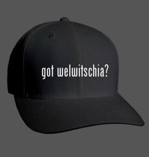 got welwitschia? - Adult