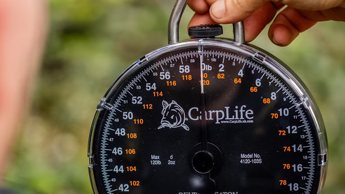 Carp life 120lb specimen - life,