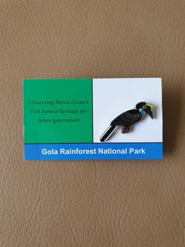 Rspb yellow casqued hornbill - rspb,