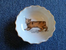 RARE - W H Goss Manx Cat