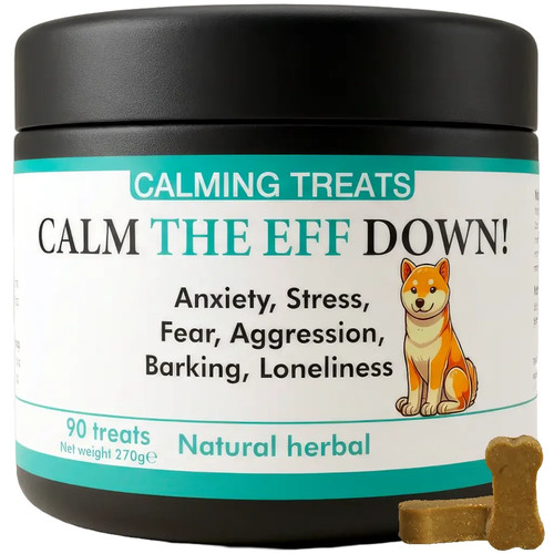 Dog anxiety barking stress - dog,