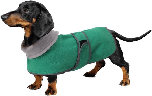 Geyecete dachshund coat with