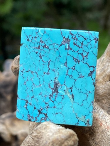 Sleeping beauty turquoise - sleeping,