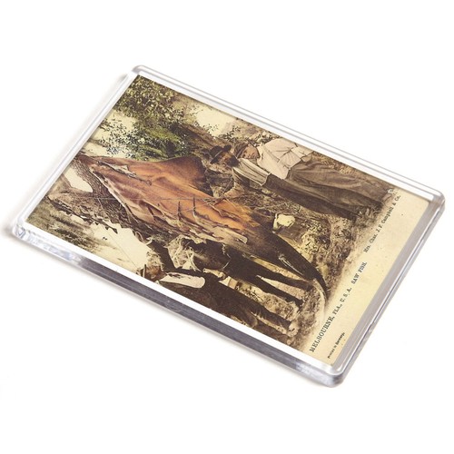 Jumbo magnet vintage - jumbo,