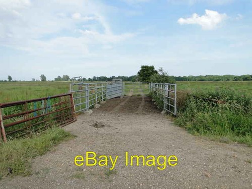 Photo 6x4 cattle crush - crush, the